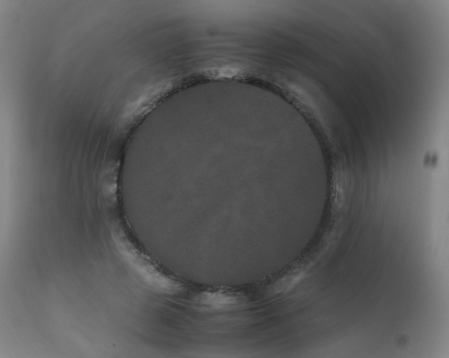 X0000111660545200907171612