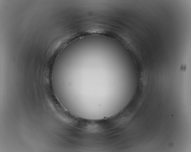 X0000111660547200907171612