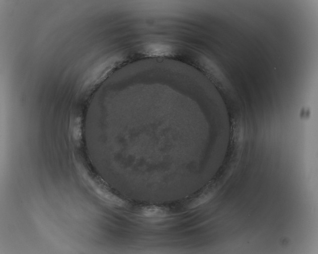 X0000111660549200907171612
