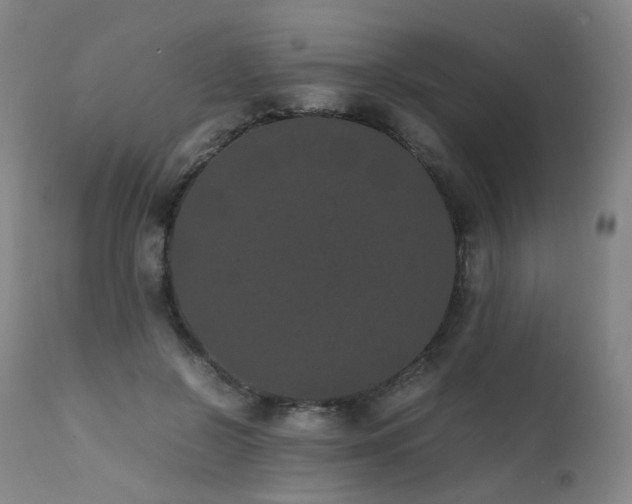 X0000111660550200907171612