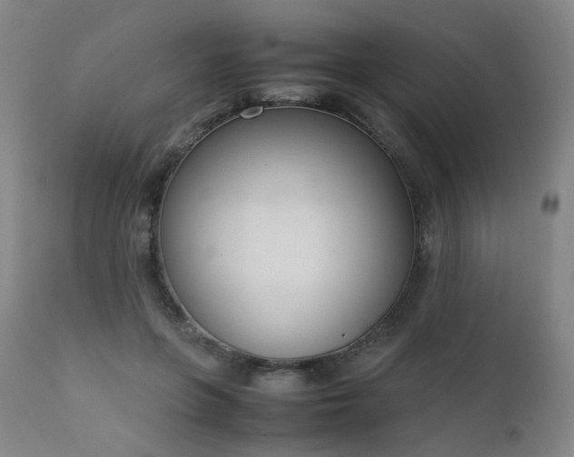 X0000111660551200907171612