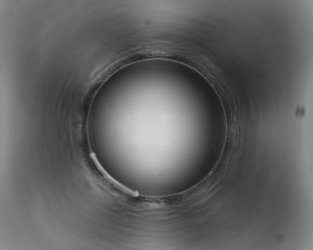 X0000111660552200907171612