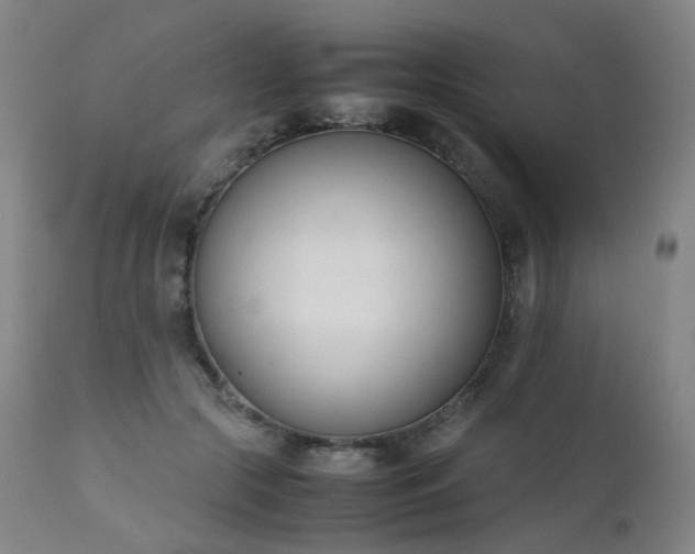 X0000111660553200907171612