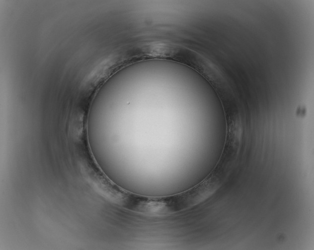 X0000111660554200907171612