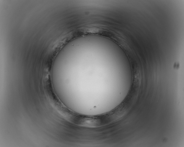 X0000111660555200907171612