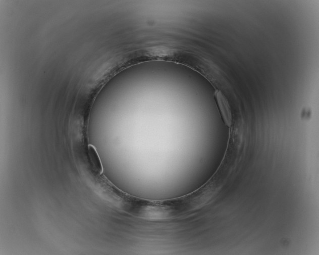 X0000111660556200907171612
