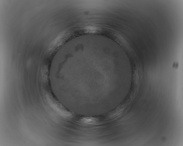 X0000111660557200907171612