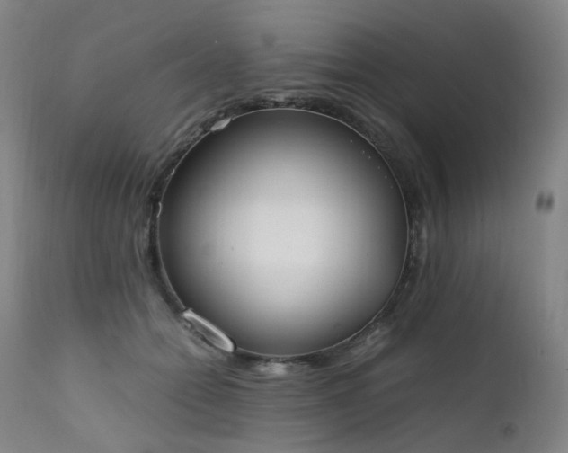 X0000111660558200907171612