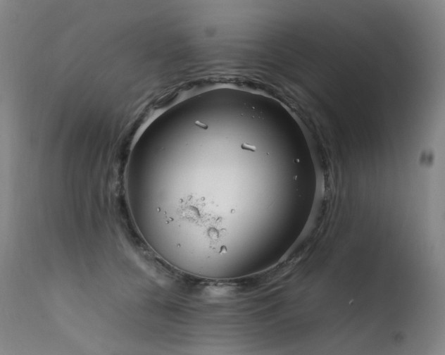 X0000111660560200907171612