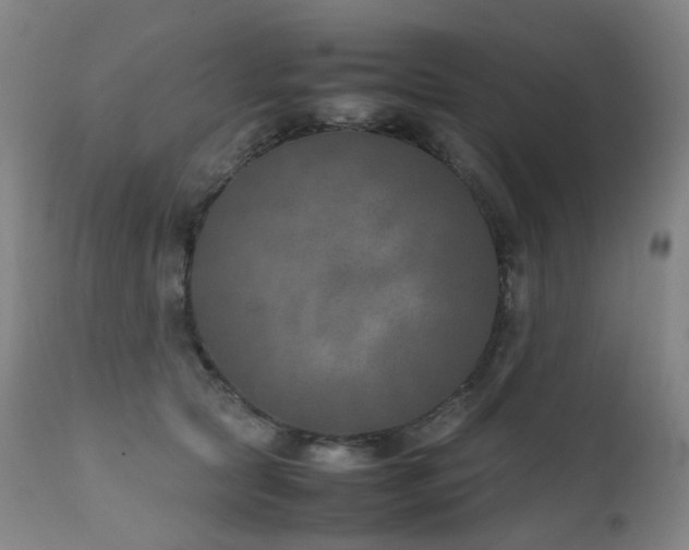 X0000111660561200907171612