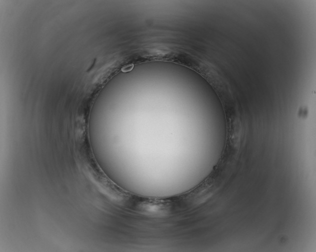 X0000111660563200907171612
