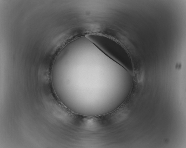 X0000111660564200907171612