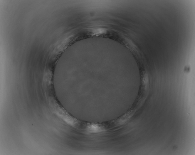 X0000111660565200907171612