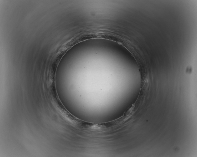 X0000111660566200907171612