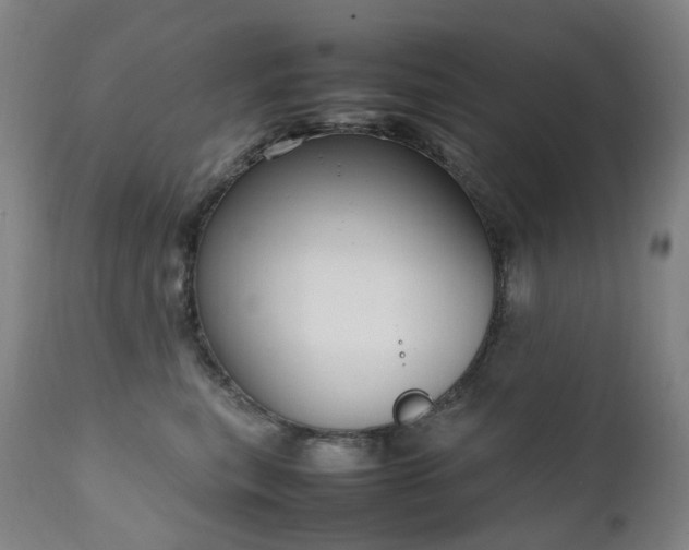 X0000111660567200907171612