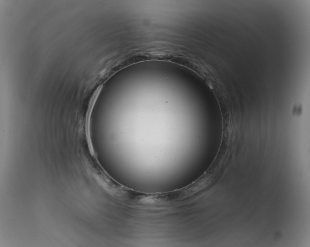 X0000111660568200907171612
