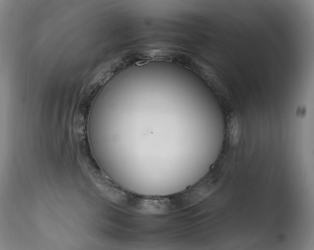 X0000111660571200907171613