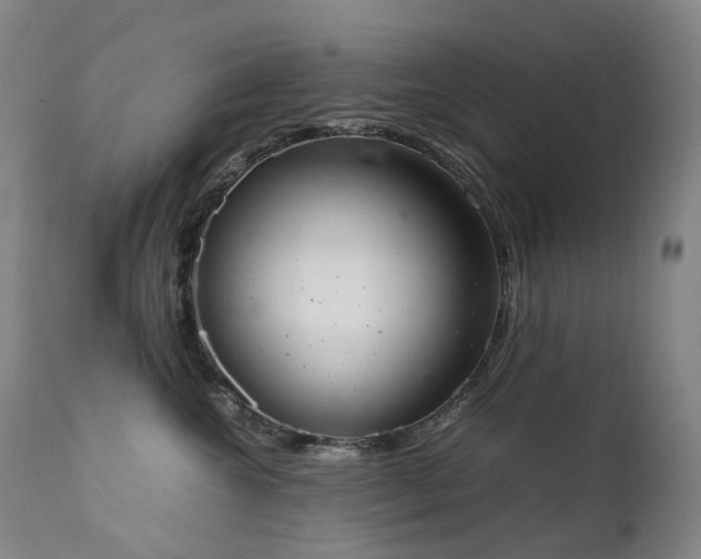 X0000111660572200907171613