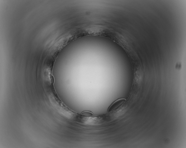 X0000111660575200907171613