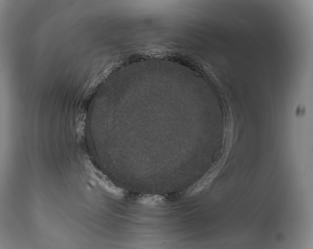 X0000111660576200907171613