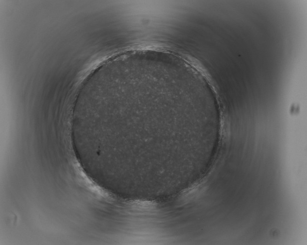 X0000111660577200907171612