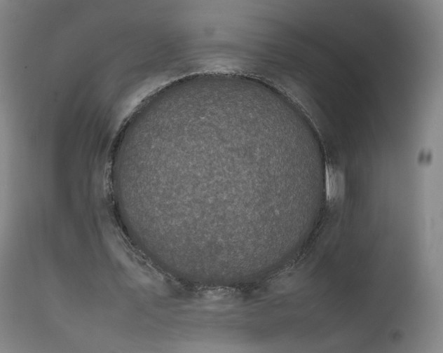 X0000111660579200907171612