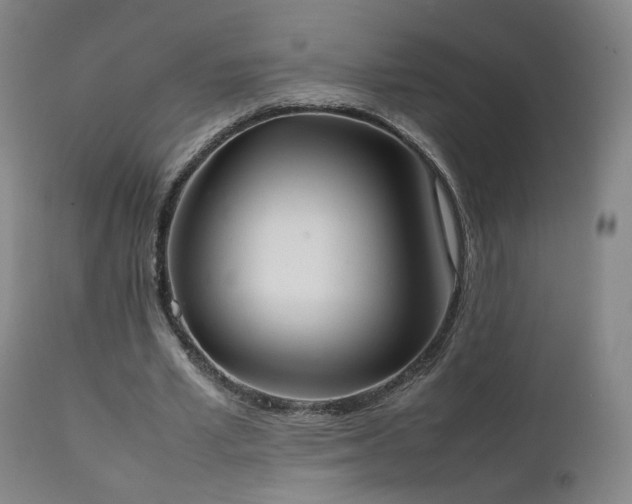 X0000111660581200907171612