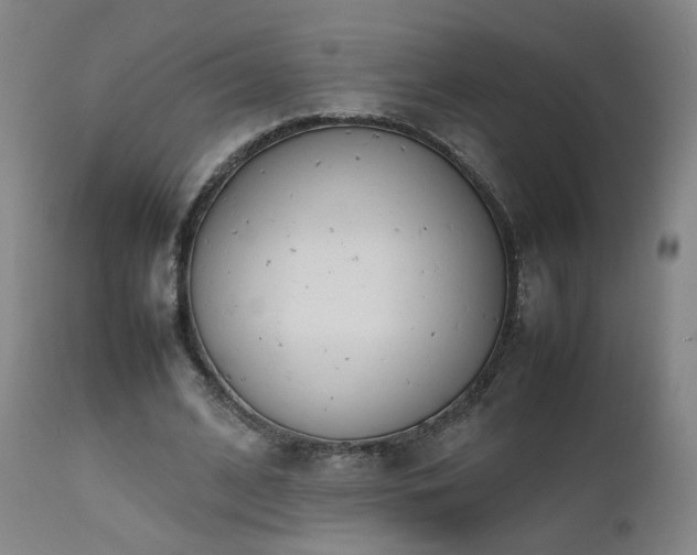 X0000111660584200907171612