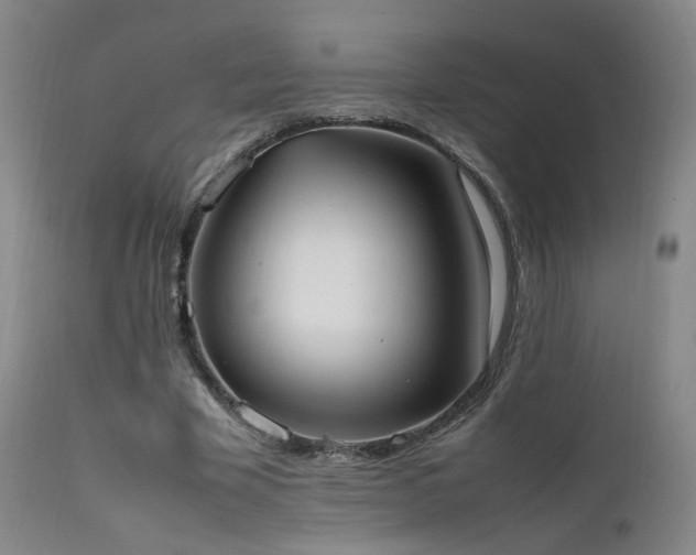 X0000111660585200907171612