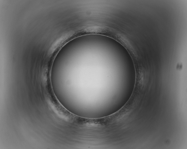 X0000111660586200907171612