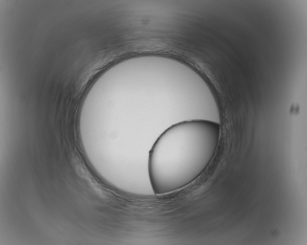 X0000111660589200907171612