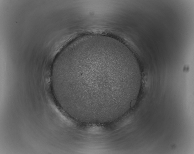 X0000111660593200907171612