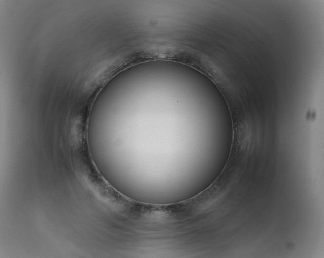 X0000111660594200907171612