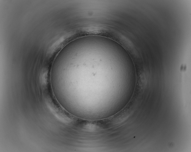 X0000111660596200907171611