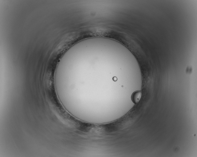 X0000111660599200907171611