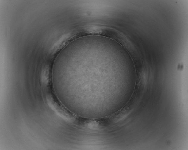 X0000111660600200907171611