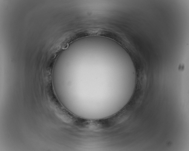 X0000111660601200907171611