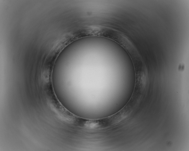 X0000111660602200907171611