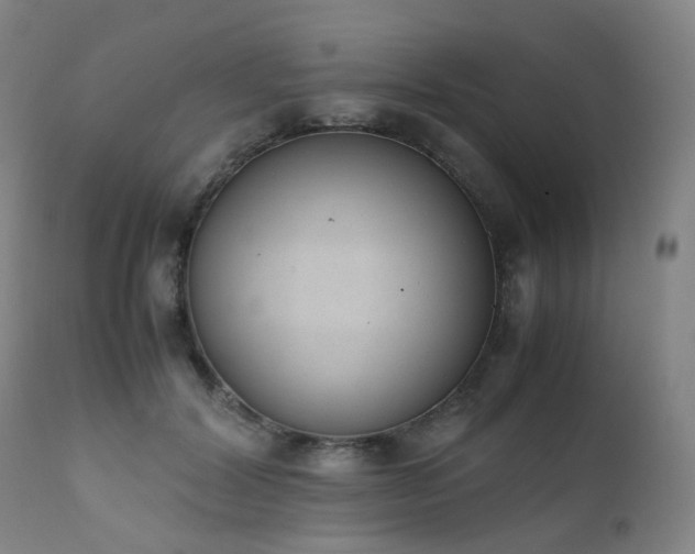 X0000111660604200907171611