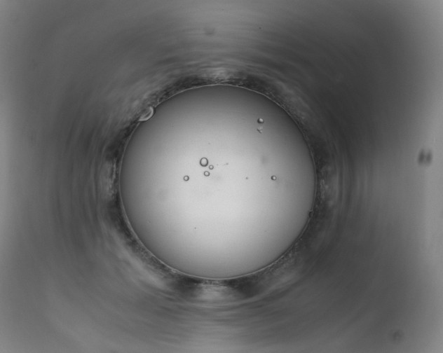 X0000111660605200907171611