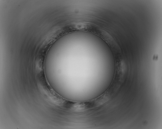 X0000111660606200907171611