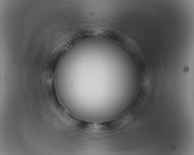 X0000111660607200907171611