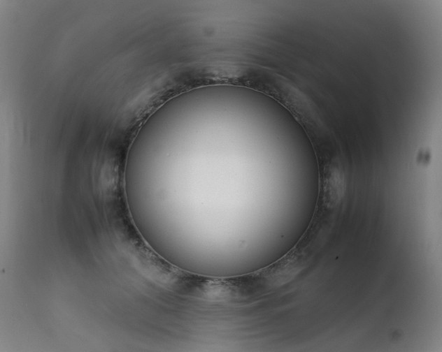 X0000111660608200907171611