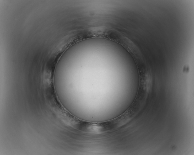 X0000111660610200907171611