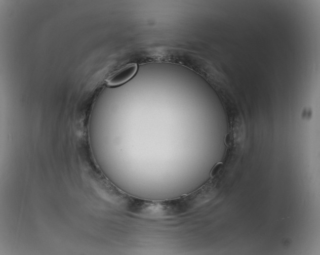 X0000111660611200907171611