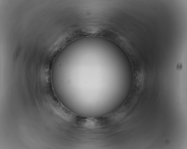 X0000111660612200907171611