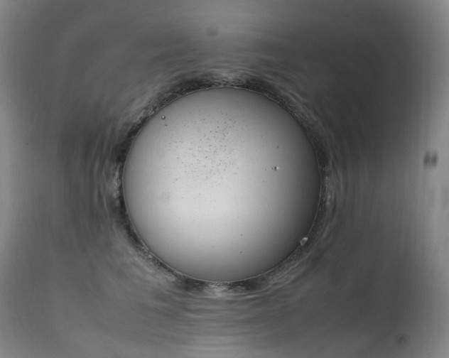 X0000111660613200907171611