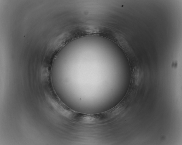 X0000111660614200907171611