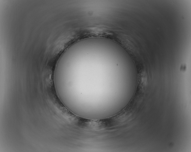 X0000111660615200907171611