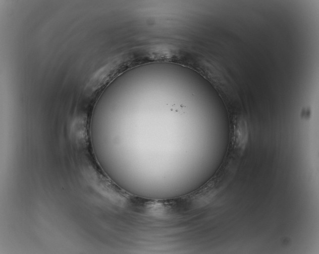 X0000111660616200907171611